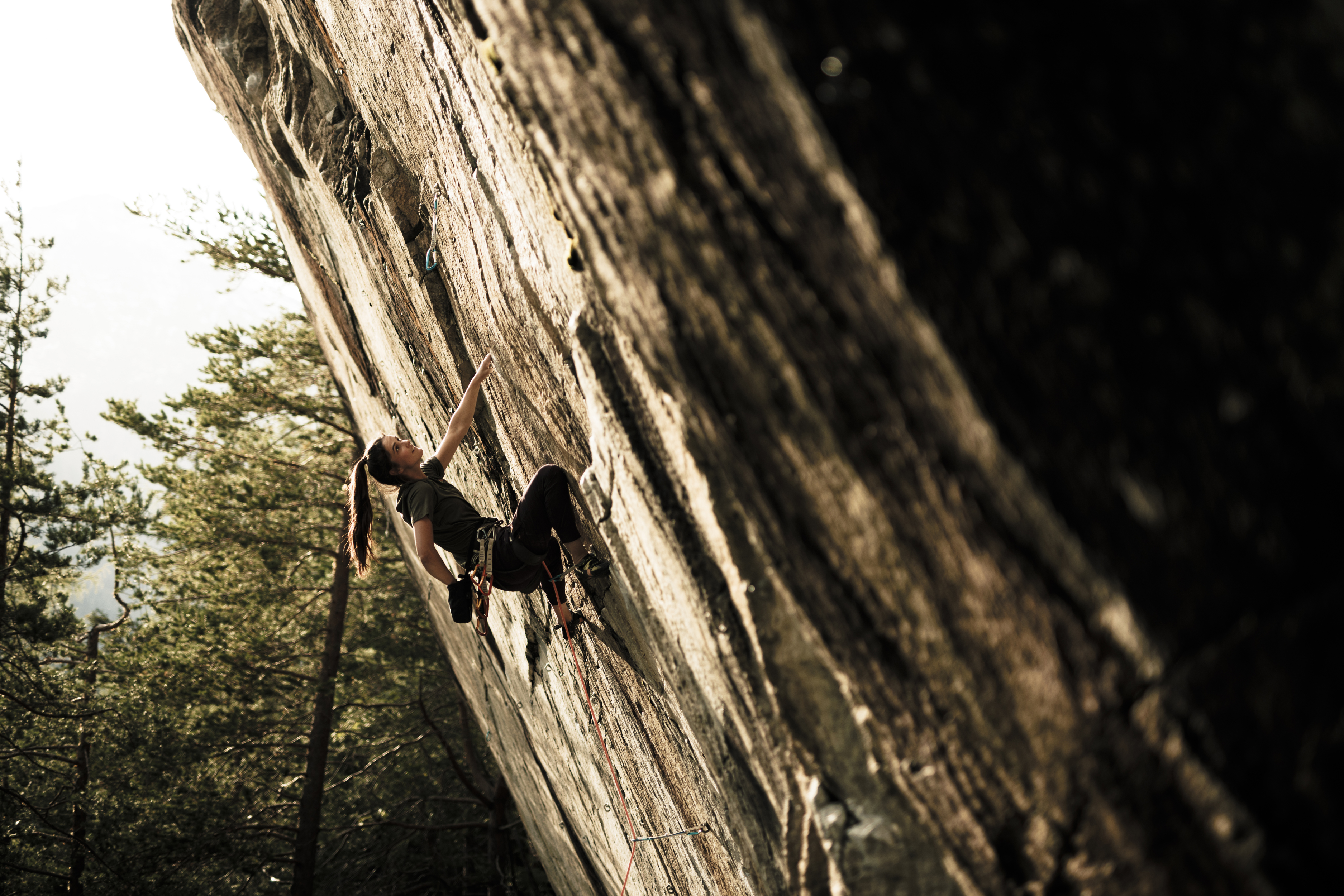 <h4>Climbing Advanced</h4>